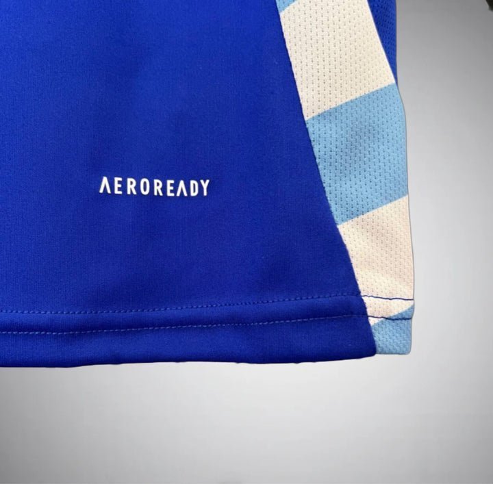 Argentina 2024 Away Kit from FootballPrestige.shop - Premium Concept kits