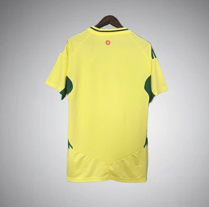Wales 2024 Away Kit from FootballPrestige.shop - Premium Concept kits