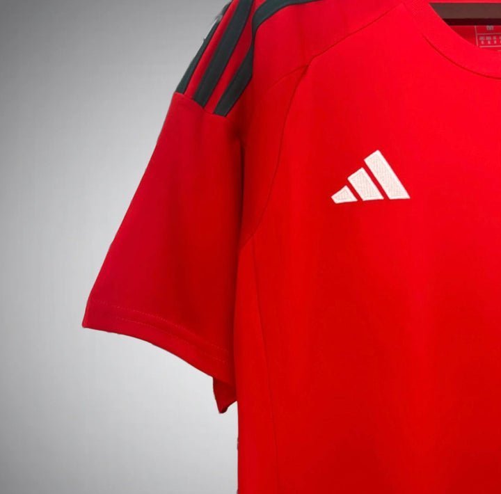 Wales 2024 Home Kit from FootballPrestige.shop - Premium Concept kits