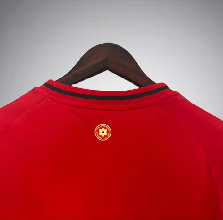 Wales 2024 Home Kit from FootballPrestige.shop - Premium Concept kits
