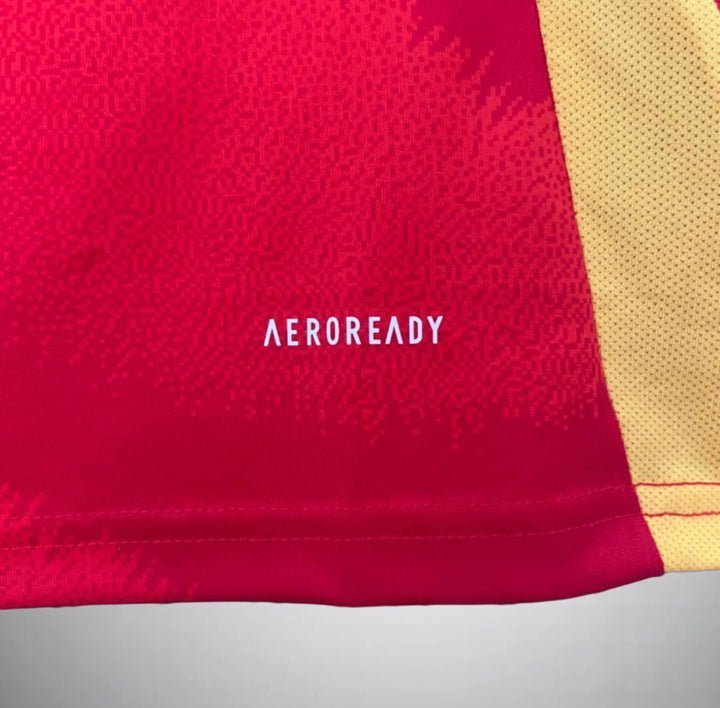 2024 Spain Home Kit from FootballPrestige.shop - Premium Concept kits