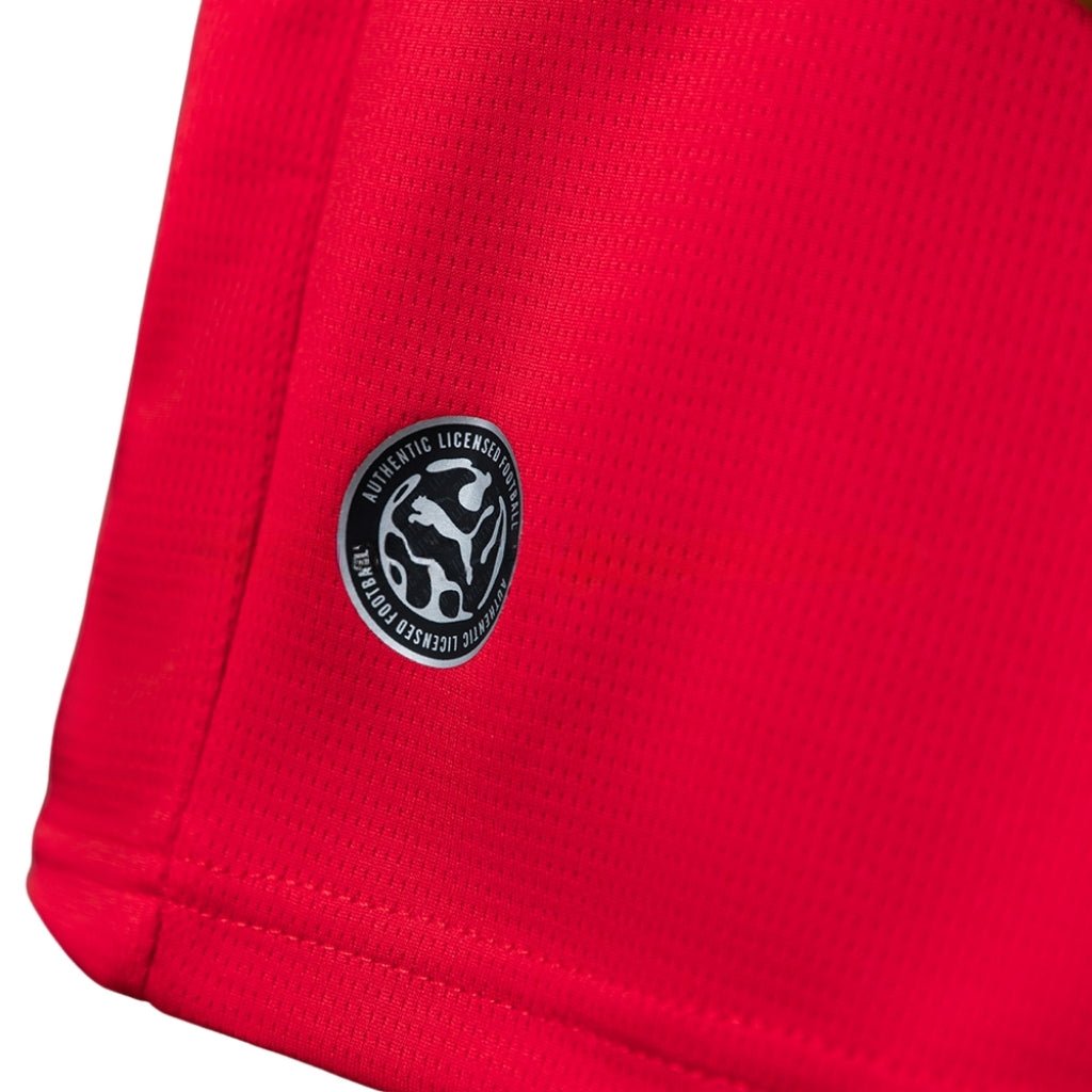 2026 Austria Home Kids Size Kit from FootballPrestige.shop - Premium Concept kits