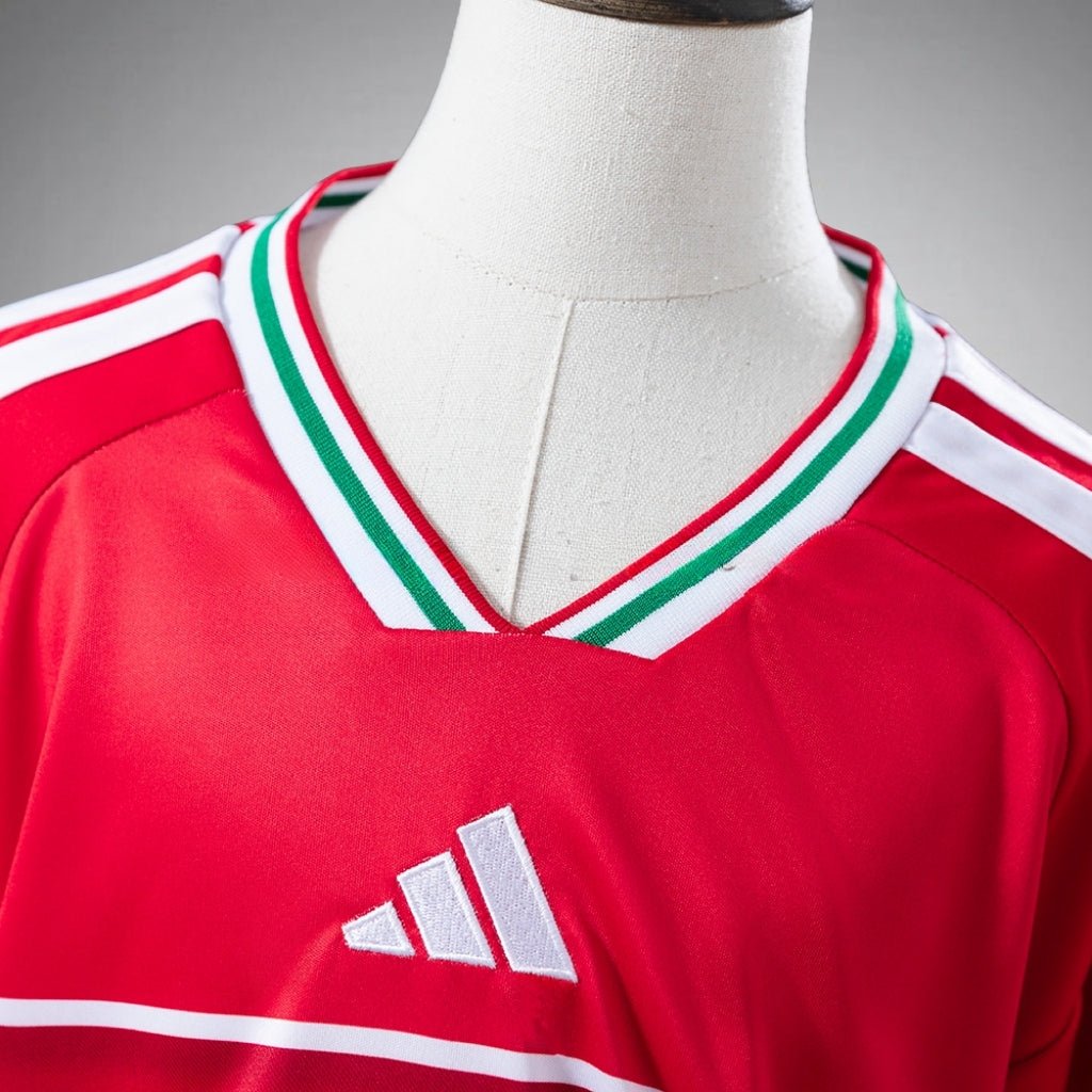 2026 Wales Home Kids Size Kit from FootballPrestige.shop - Premium Concept kits