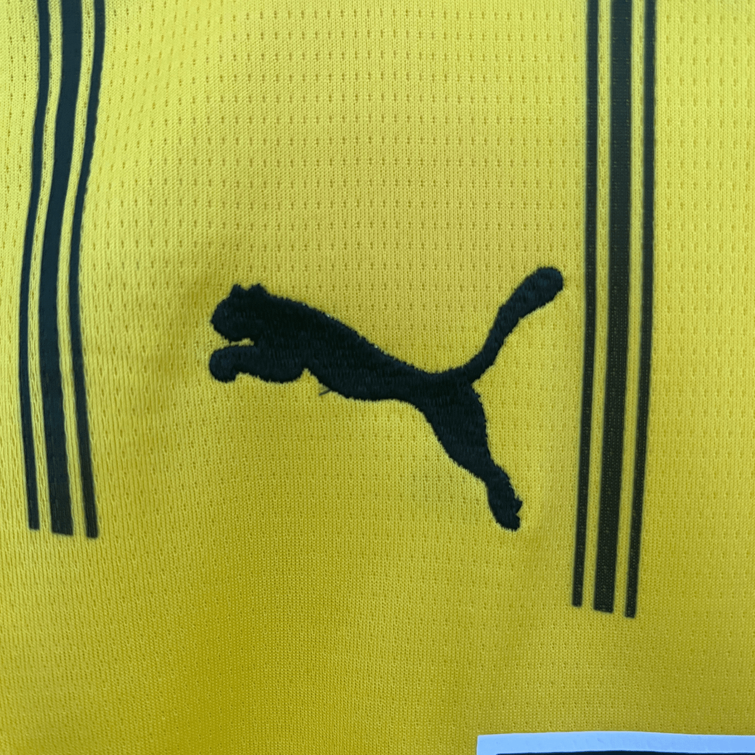 24/25 Borussia Dortmund Home Kids Size Kit from FootballPrestige.shop - Premium Concept kits