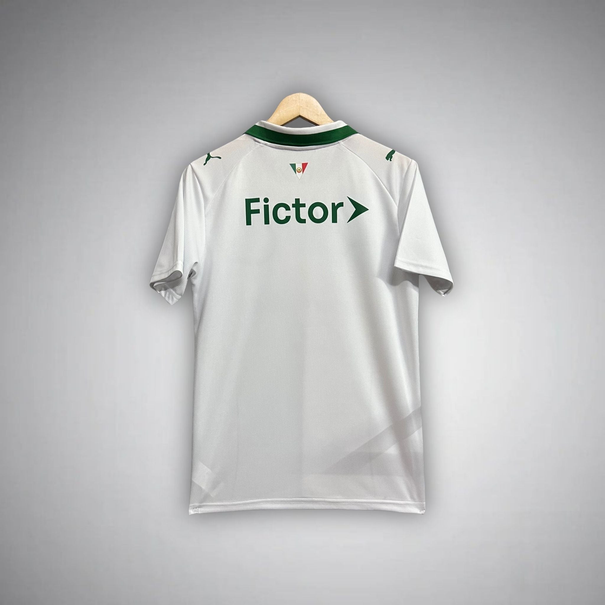 25/26 Palmeiras Away Kit from FootballPrestige.shop - Premium Concept kits