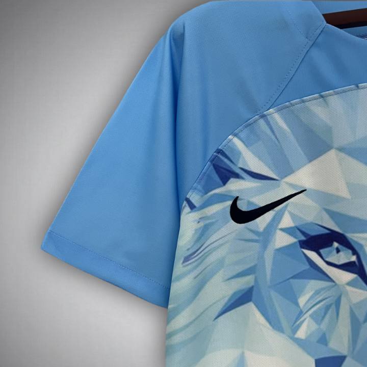 Netherlands "Blue Sky" Premium Kit from FootballPrestige.shop - Premium Concept kits