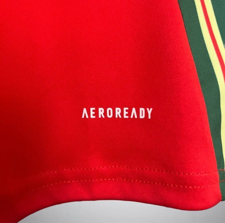 Wales 2024 Home Kit from FootballPrestige.shop - Premium Concept kits